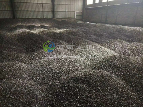 �������̿��Ʒ�}(c��ng)��(k��)